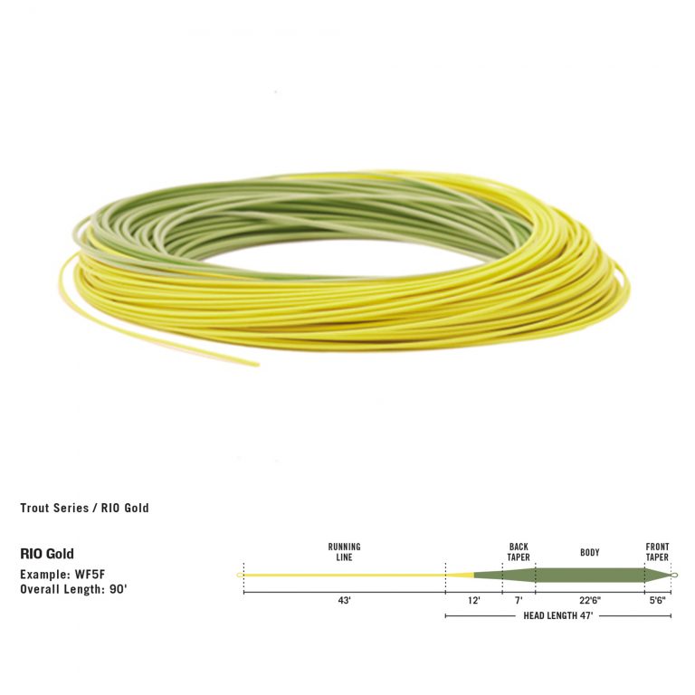 rio gold in touch fly line