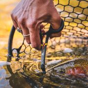 Loon Rogue Hook Removal Forceps – Guide Flyfishing, Fly Fishing Rods,  Reels, Sage, Redington, RIO