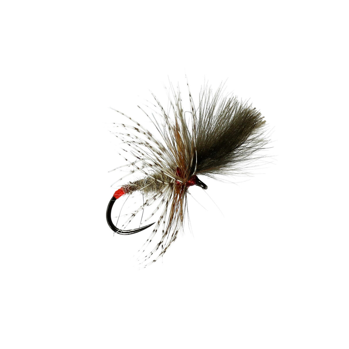 Caledonia Grunter B/L - Guide Flyfishing