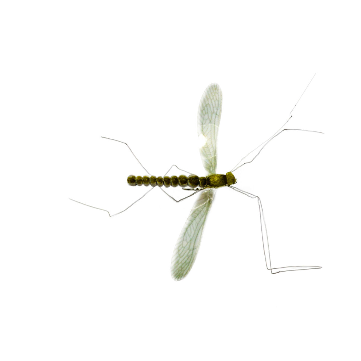 Caledonia Mayfly Real - Guide Flyfishing