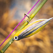 Vision Pikemaniac Fly Rod - Guide Flyfishing