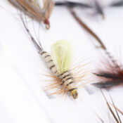 Caledonia Mayfly Trout Selection - Guide Flyfishing
