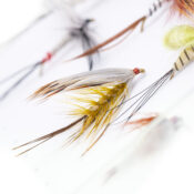 Caledonia Mayfly Trout Selection - Guide Flyfishing